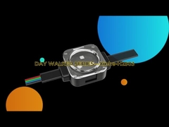 2904 RGBW ไฟส่องเฉพาะจุด IP67 กันน้ำกลางแจ้ง 1903 RGB LED Light String