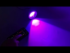 ดาวน์ไลท์