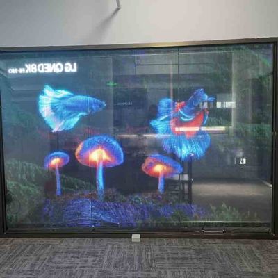 Indoor Transparent LED Film Display Full Color Flexible Transparent LED Screen