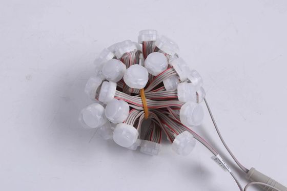 20mm Miracle Bean Waterproof LED Point Light 0.3W With 2 Years' Warranty