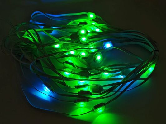 DMX512 1.5W RGB LED Eave Lights Outdoor House Eave Christmas Decoration