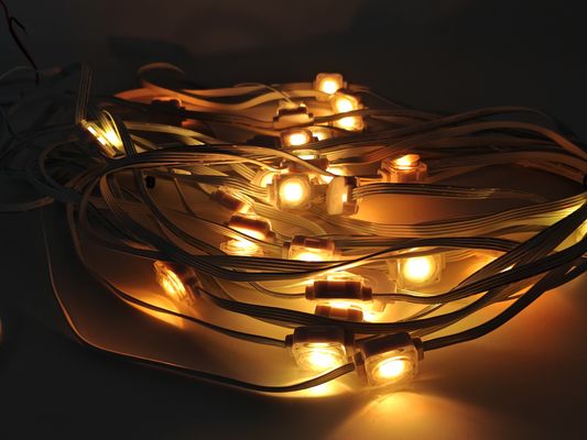 12V SMD5050 Point Light Christmas Decorative Outdoor Eave Lights RGB LED Outdoor String Pixel Light