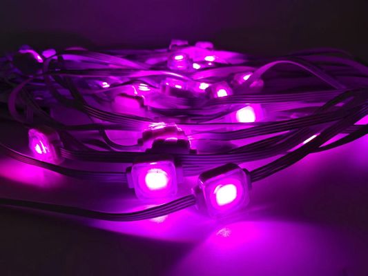 Decoration building 24V String Point Smart Eaves Lighting Holiday Ambilight 100ft RGBIC LED Permanent Eaves Light