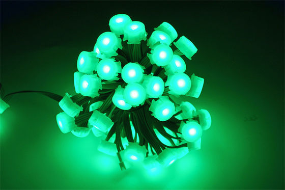 12V 20mm LED Pixel Lights for Outdoor Christmas Decor Long-Lasting Performance