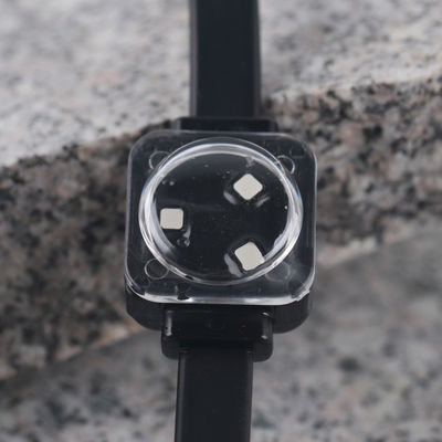 Waterproof IP67 Outdoor 25mm LED Point Light Source 0.75w Dc12v for Permanent Christmas Light RGB Multi Colors