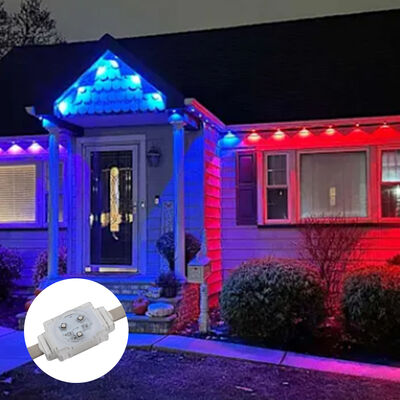 Outdoor Waterproof 40mm Colorful Monochrome RGBW Full Color DC48V Building Landscape Lighting Led Point Light