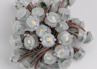 DC12V กลางแจ้ง 20 มม. SMD 5050 IP67 พิกเซล LED Lights Christmas 2000mcd