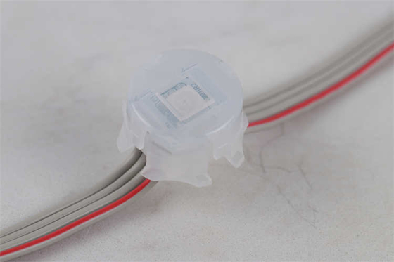 ไฟวันหยุดถาวร 20 มม. 5050 Rgb Rgbw 1903 2904 Dmx512 IC Led Pixel Point Light