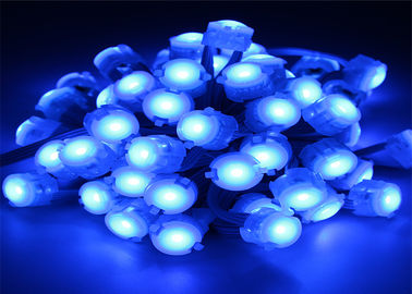 IP67 0.25 วัตต์ Blue LED12V 5050 20 มม. พิกเซล LED ขนาด 120 มม