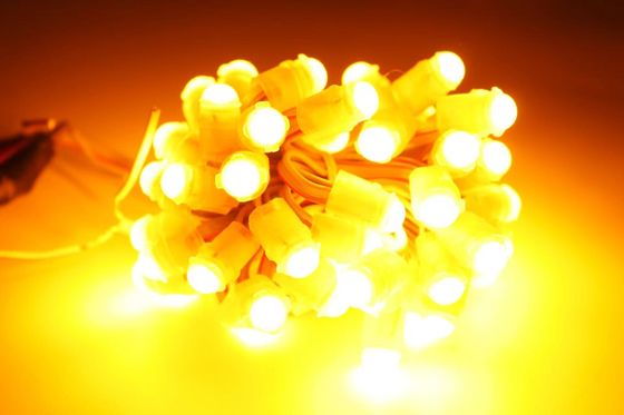 ผักมหัศจรรย์ LED เครื่องประดับคริสต์มาส LED จุดแสงสีเดียว LED ไฟพิกเซล