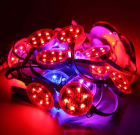 Outdoor 40mm 50mm SMD3535 DMX Digital Pixel RGB LED Pixel กันน้ำ IP67