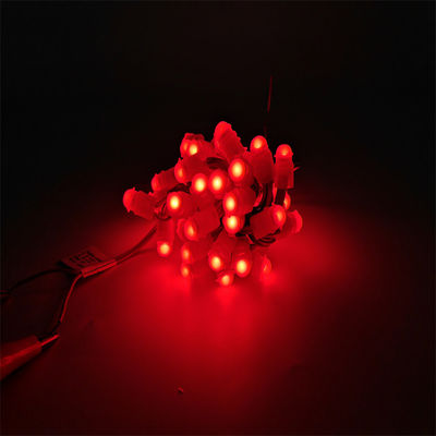 ผักมงคล LED เครื่องประดับคริสต์มาส LED Point Light สีเดียว LED ไฟพิกเซลโปรแกรม