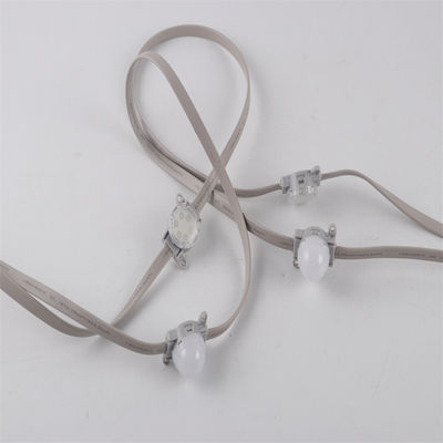 ขายปลีก 24V SMD3535 IP67 Single And RGB Color Changing Programmable LED Pixel Chain Light พร้อมเครื่องควบคุม