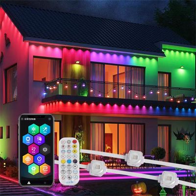24V IP67 LED Outside Christmas Lights for Home Decoration SPI Control LED Suppliers