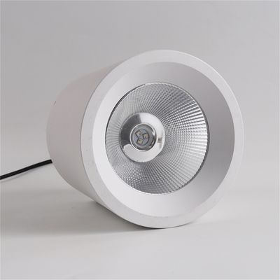 Commercial Indoor Ceiling LED Downlight 60w Surface Mounted Cylindrical Spot Light