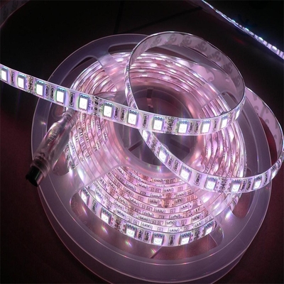 FPC โบด PCB ยืดหยุ่น LED 5050 RGBW ความสว่างสูง ผลิตภัณฑ์แสง multifunctional 5000*12*4.0mm DC24V LED แผ่นแสง