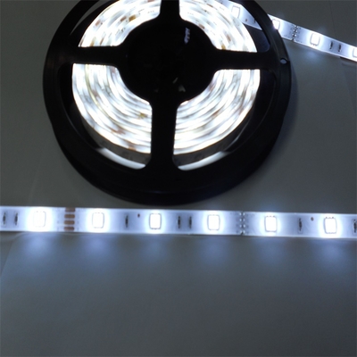 Flexible Lighting SMD2835 DC12V RGB Flexible LED Strip Light for Advertising