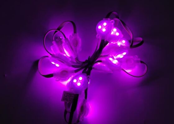 30mm DC12V Outdoor RGB LED Point Light IP67 Waterproof Led Pixel Lights