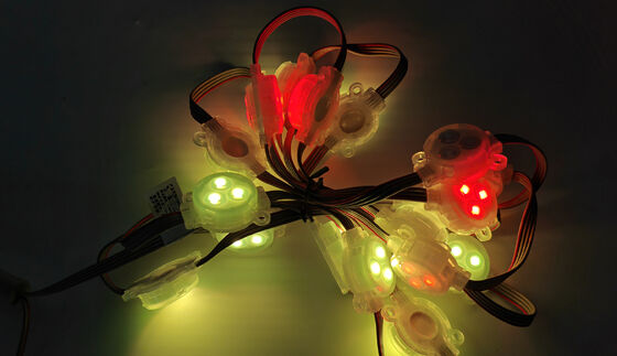 Outdoor Building Light 30mm DC12v LED Point Light Waterproof IP67 Outdoor Decorative Light