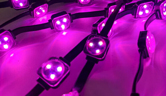 25mm Outdoor LED Point Light with IP67 Waterproof Adjustable Color Temperature and DC12V Power Supply