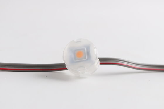 25mm Outdoor RGBW LED Point Light with IP67 Waterproof PC Shell and DMX512 Control for Building Decoration