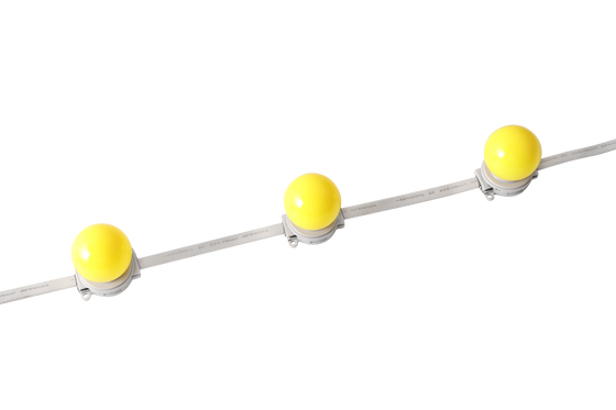 40mm IP67 Waterproof DC 24V LED Globe Light for Outdoor Architectural Lighting