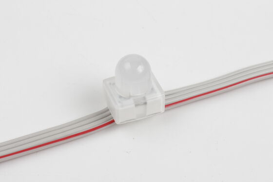 12mm RGB SMD5050 LED Point Light IP67 DC5V ผ่านรู Anchor Pixel Light ด้วยมุมรังสี 160