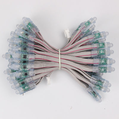 มิราเคิลบีน 12mm Rgb BIS Certificate WS2811 1903 Led Pixel Light RGB Waterproof Led String 5V 12 V 50pcs