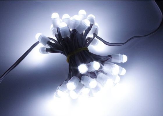 มิราเคิลบีน 0.2w 16lm LED Point Pixel Light 9mm 12v IP67