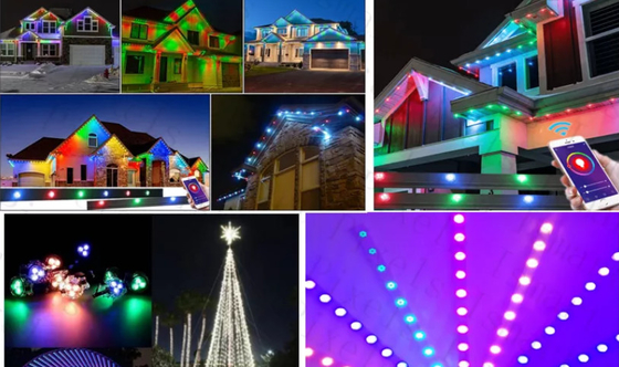 2904 RGBW ไฟ LED จุด IP67 กันน้ำกลางแจ้ง 1903 RGB LED Light String